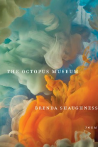 The Octopus Museum